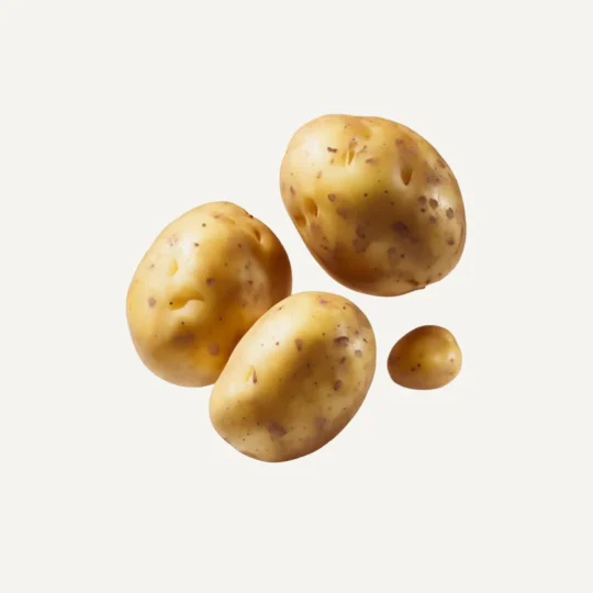 سیب‌زمینی